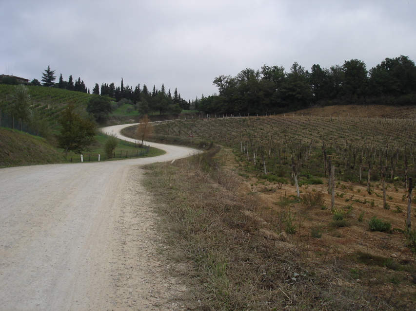 DSC02925.JPG