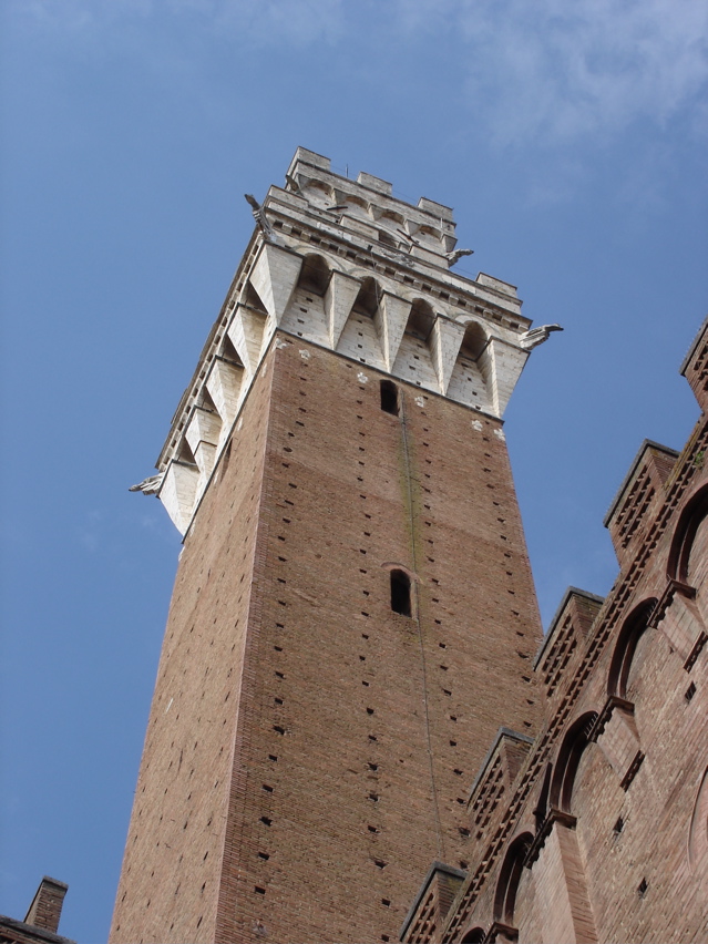 DSC02809.JPG